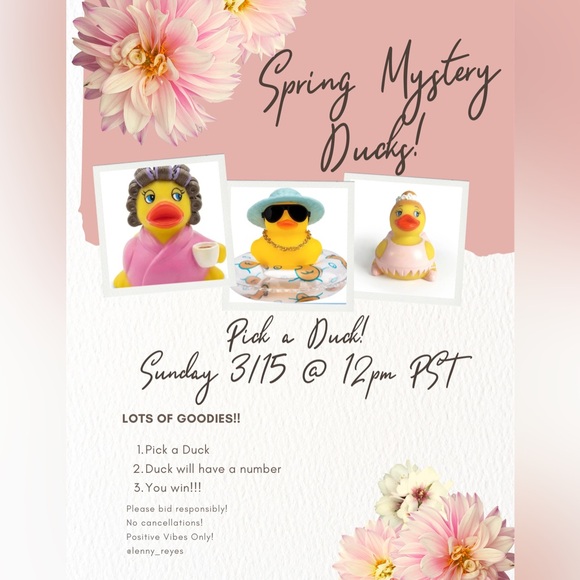 Coach Accessories - LIVE!! MYSTERY DUCKS! 3/15 SUNDAY @ 12pm PST